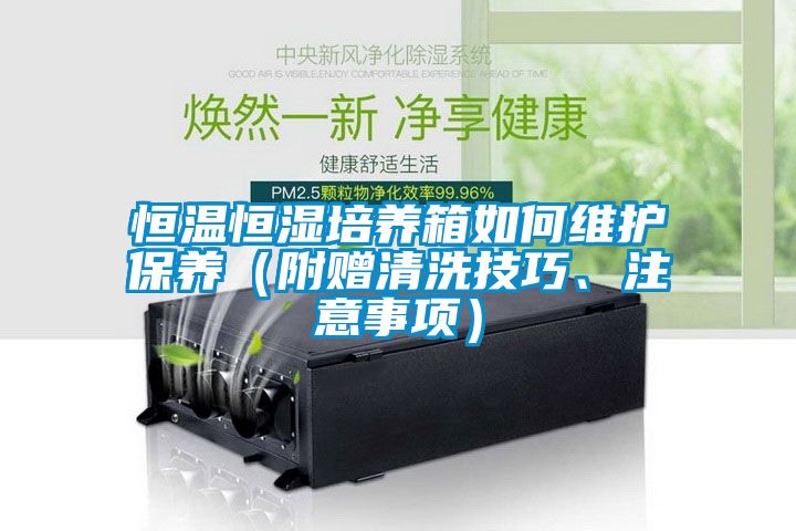 恒溫恒濕培養箱如何維護保養（附贈清洗技巧、注意事項）