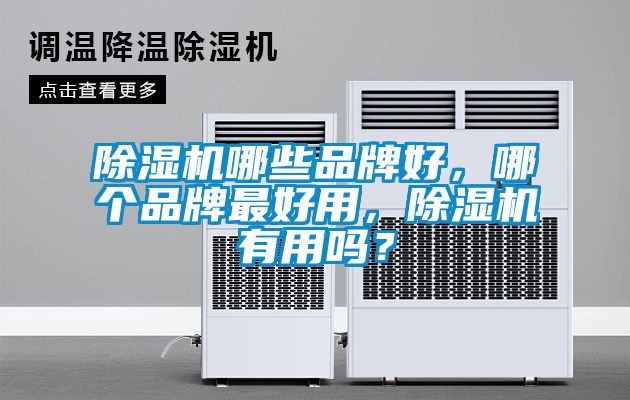 除濕機哪些品牌好，哪個(gè)品牌最好用，除濕機有用嗎？