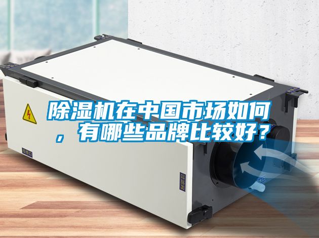 除濕機在中國市場(chǎng)如何，有哪些品牌比較好？