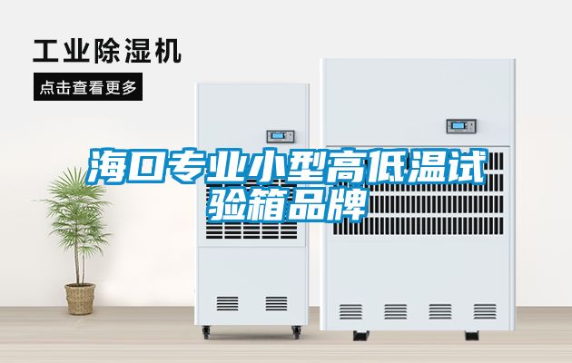 ?？趯?zhuān)業(yè)小型高低溫試驗箱品牌