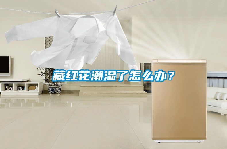 藏紅花潮濕了怎么辦？