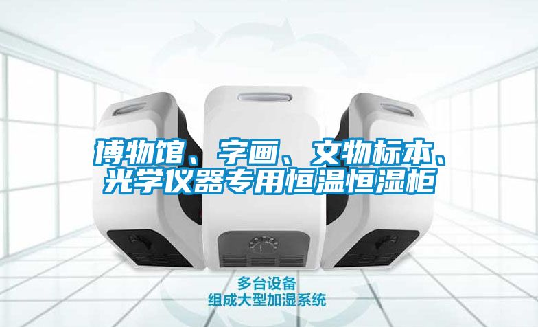 博物館、字畫(huà)、文物標本、光學(xué)儀器專(zhuān)用恒溫恒濕柜