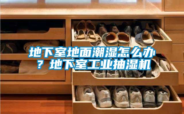 地下室地面潮濕怎么辦？地下室工業(yè)抽濕機