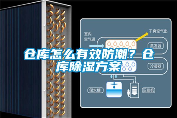 倉庫怎么有效防潮？倉庫除濕方案