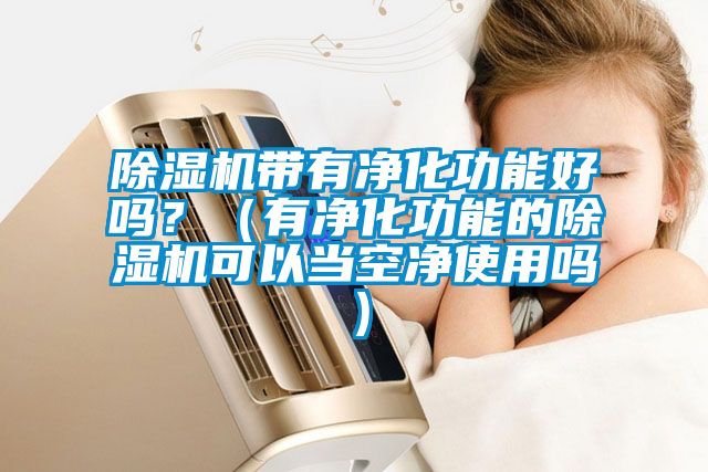 除濕機帶有凈化功能好嗎？（有凈化功能的除濕機可以當空凈使用嗎）