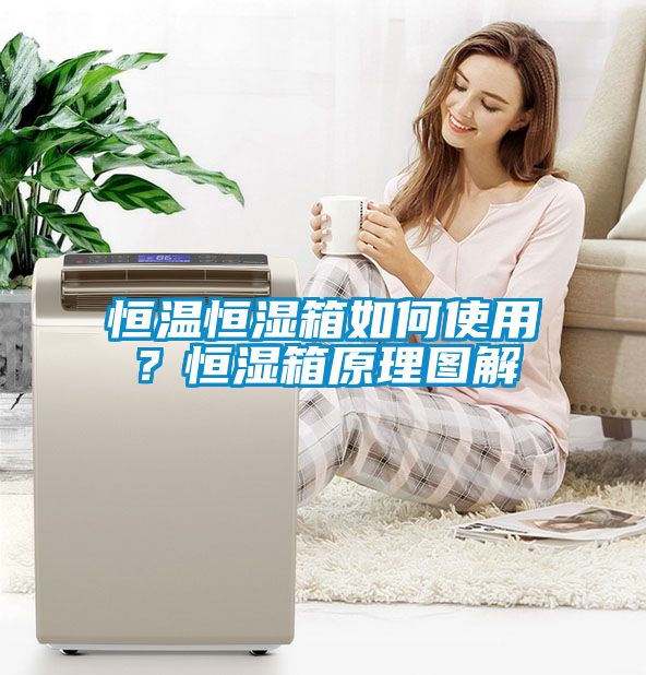 恒溫恒濕箱如何使用？恒濕箱原理圖解