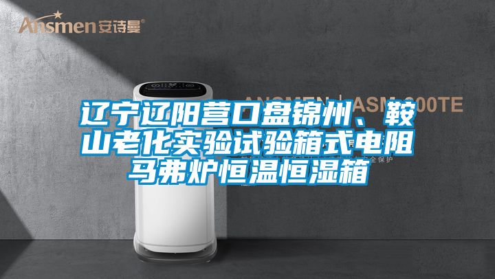 遼寧遼陽(yáng)營(yíng)口盤(pán)錦州、鞍山老化實(shí)驗試驗箱式電阻馬弗爐恒溫恒濕箱