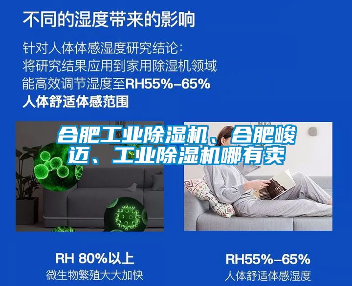 合肥工業(yè)除濕機、合肥峻邁、工業(yè)除濕機哪有賣(mài)