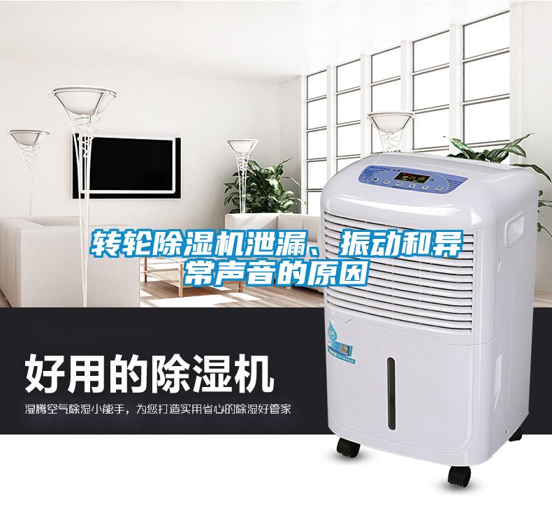 轉輪除濕機泄漏、振動(dòng)和異常聲音的原因
