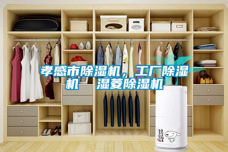 孝感市除濕機，工廠(chǎng)除濕機  濕菱除濕機