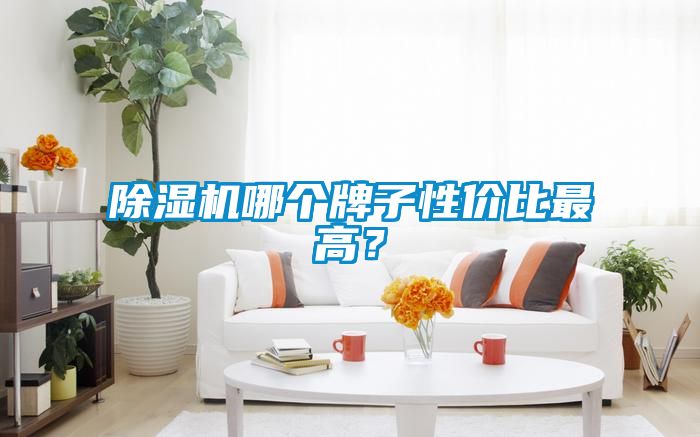 除濕機哪個(gè)牌子性?xún)r(jià)比最高？
