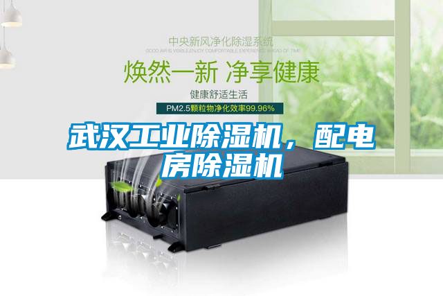 武漢工業(yè)除濕機，配電房除濕機