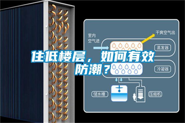 住低樓層，如何有效防潮？