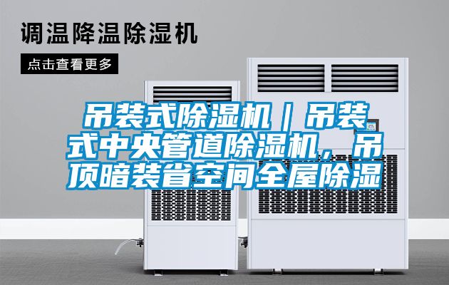 吊裝式除濕機｜吊裝式中央管道除濕機，吊頂暗裝省空間全屋除濕