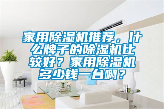 家用除濕機推薦，什么牌子的除濕機比較好？家用除濕機多少錢(qián)一臺??？