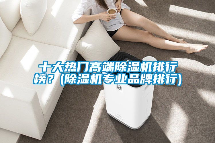 十大熱門(mén)高端除濕機排行榜？(除濕機專(zhuān)業(yè)品牌排行)
