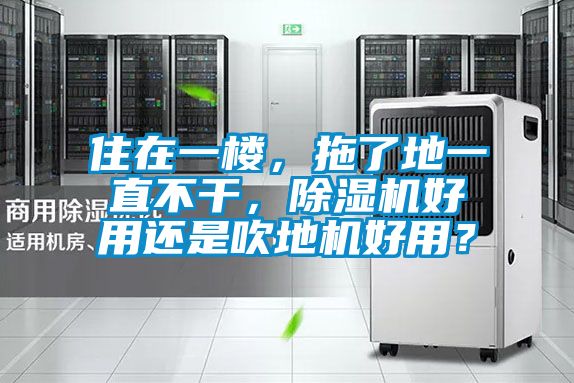 住在一樓，拖了地一直不干，除濕機好用還是吹地機好用？