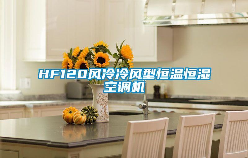 HF120風(fēng)冷冷風(fēng)型恒溫恒濕空調機
