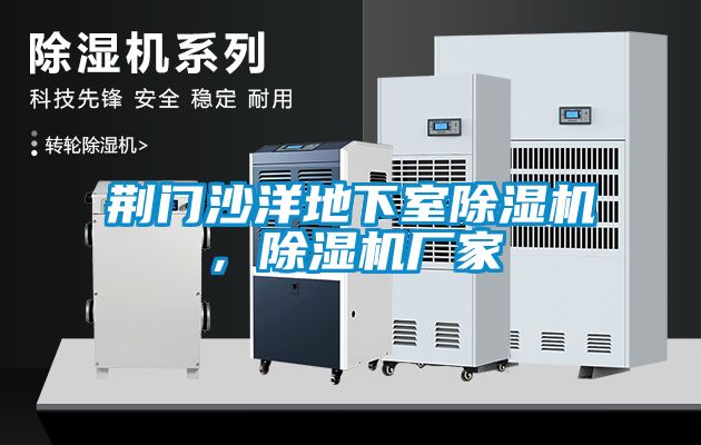 荊門(mén)沙洋地下室除濕機，除濕機廠(chǎng)家