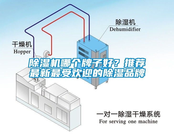除濕機哪個(gè)牌子好？推薦最新最受歡迎的除濕品牌