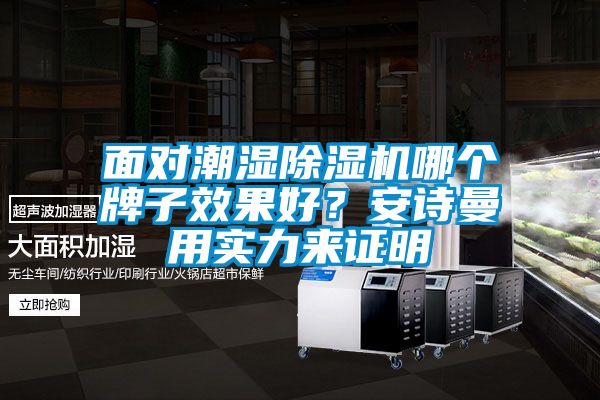 面對潮濕除濕機哪個(gè)牌子效果好？安詩(shī)曼用實(shí)力來(lái)證明