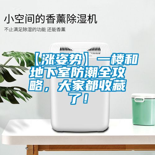【漲姿勢】一樓和地下室防潮全攻略，大家都收藏了！