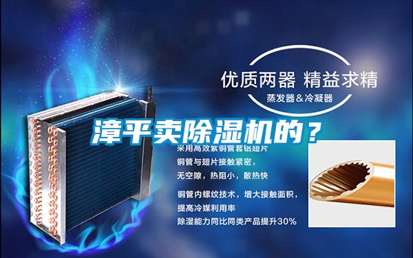 漳平賣(mài)除濕機的？