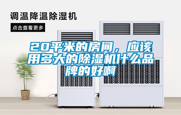 20平米的房間，應該用多大的除濕機什么品牌的好啊