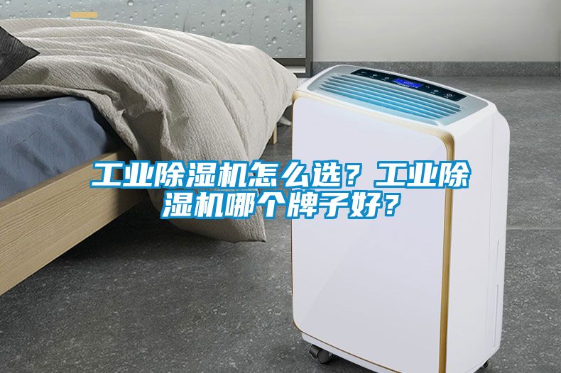 工業(yè)除濕機怎么選？工業(yè)除濕機哪個(gè)牌子好？