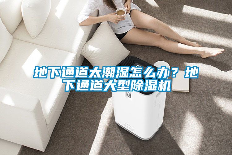 地下通道太潮濕怎么辦？地下通道大型除濕機