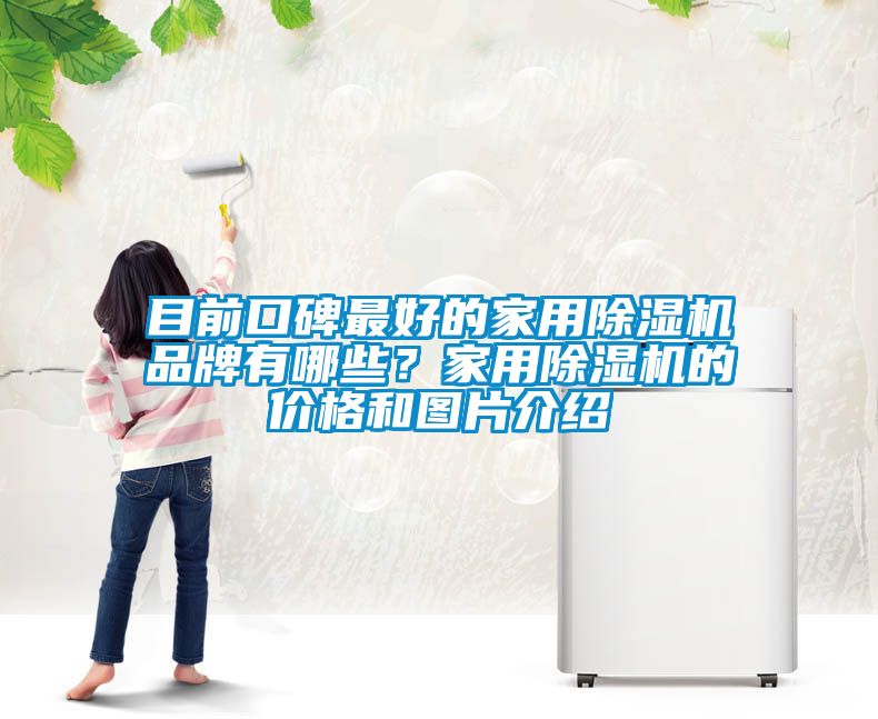 目前口碑最好的家用除濕機品牌有哪些？家用除濕機的價(jià)格和圖片介紹