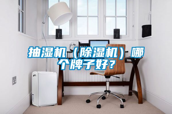 抽濕機（除濕機）哪個(gè)牌子好？