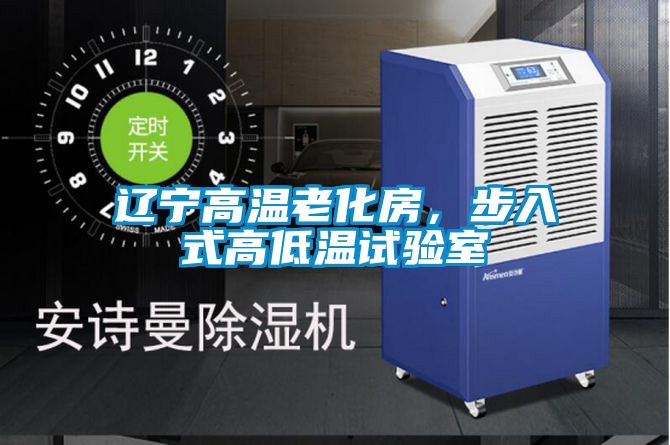 遼寧高溫老化房，步入式高低溫試驗室