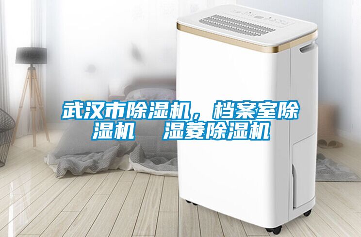 武漢市除濕機，檔案室除濕機  濕菱除濕機