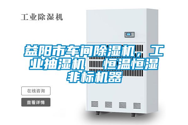 益陽(yáng)市車(chē)間除濕機，工業(yè)抽濕機  恒溫恒濕非標機器