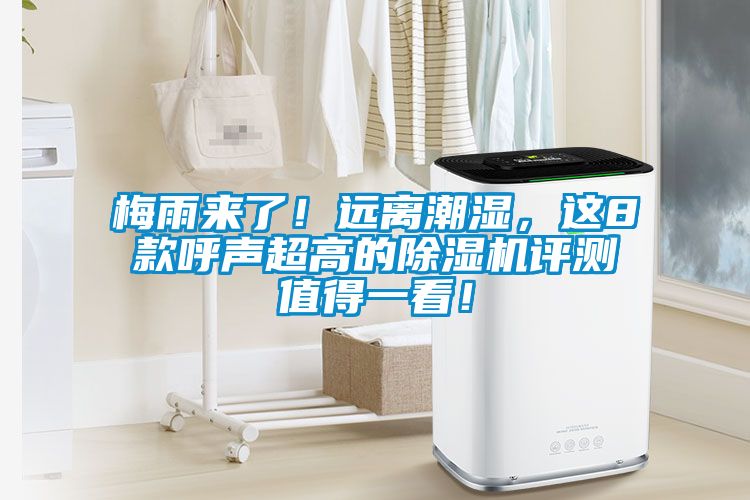 梅雨來(lái)了！遠離潮濕，這8款呼聲超高的除濕機評測值得一看！