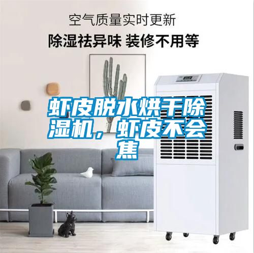 蝦皮脫水烘干除濕機，蝦皮不會(huì )焦