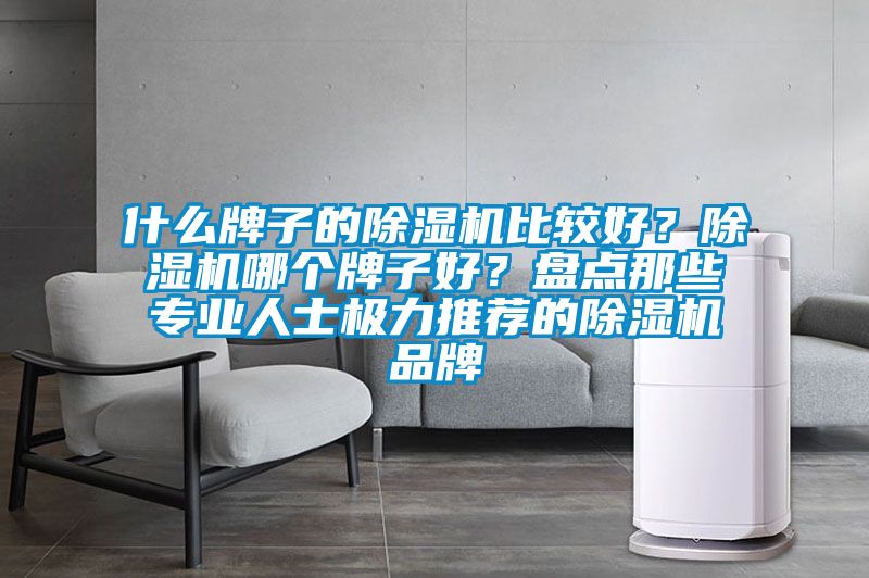 什么牌子的除濕機比較好？除濕機哪個(gè)牌子好？盤(pán)點(diǎn)那些專(zhuān)業(yè)人士極力推薦的除濕機品牌