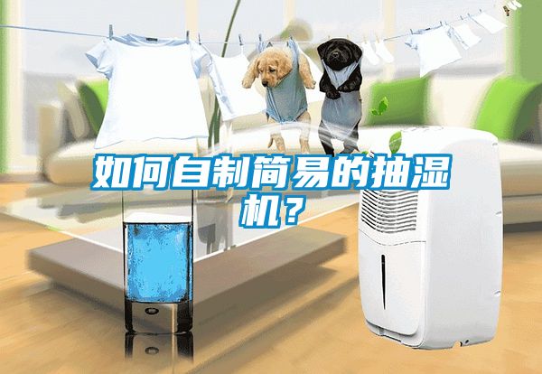 如何自制簡(jiǎn)易的抽濕機？