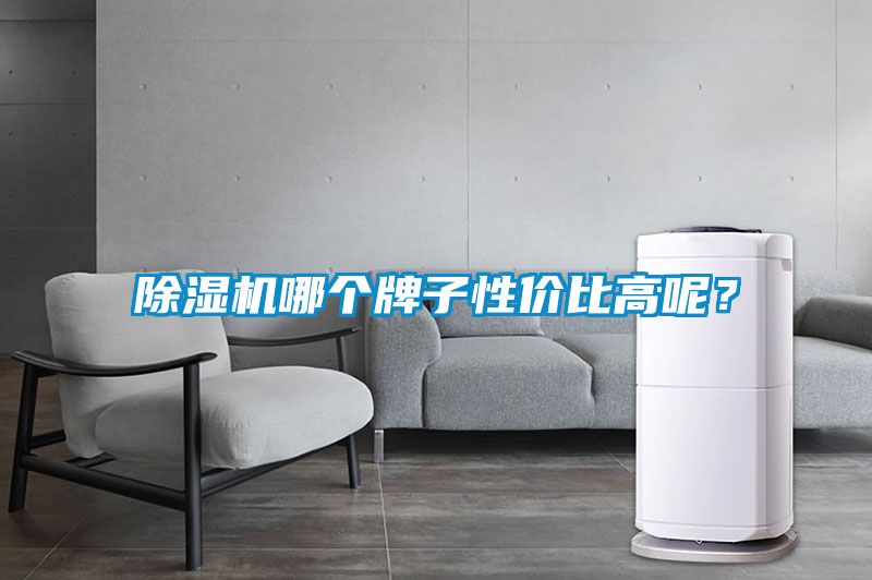 除濕機哪個(gè)牌子性?xún)r(jià)比高呢？
