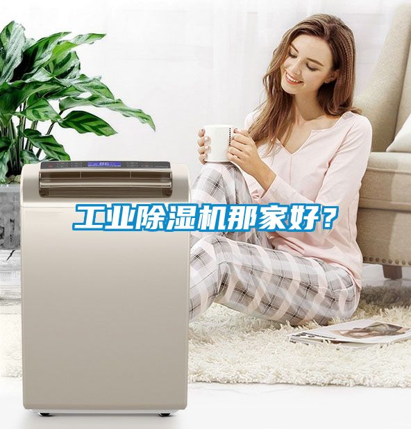 工業(yè)除濕機那家好？