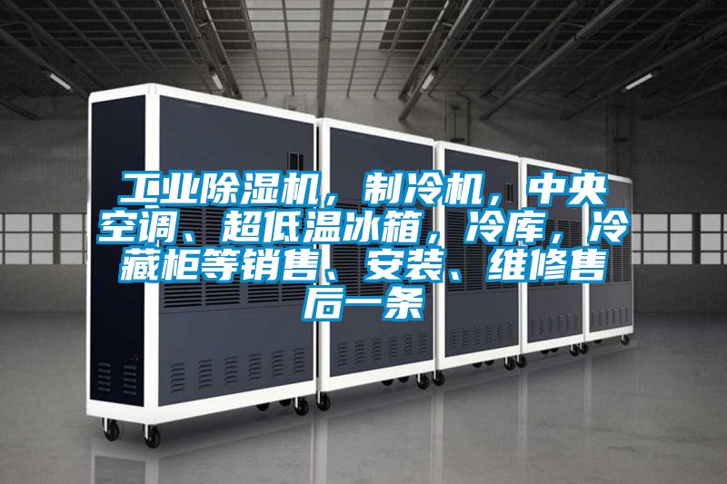 工業除濕機，制冷機，中央空調、超低溫冰箱，冷庫，冷藏柜等銷售、安裝、維修售后一條