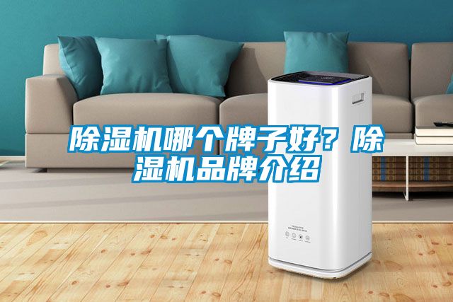 除濕機哪個(gè)牌子好？除濕機品牌介紹