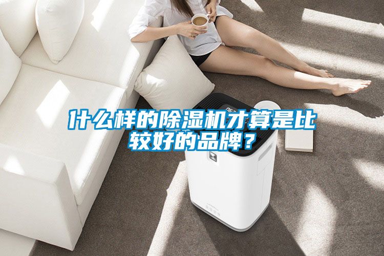 什么樣的除濕機才算是比較好的品牌？