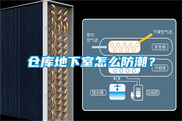 倉庫地下室怎么防潮？