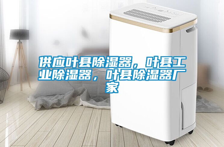 供應葉縣除濕器，葉縣工業(yè)除濕器，葉縣除濕器廠(chǎng)家