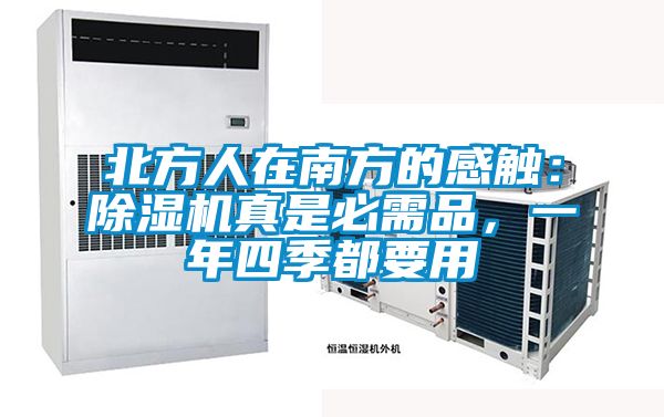 北方人在南方的感觸：除濕機真是必需品，一年四季都要用