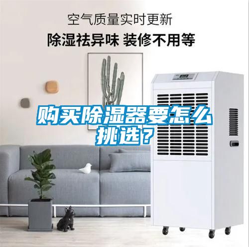 購買(mǎi)除濕器要怎么挑選？