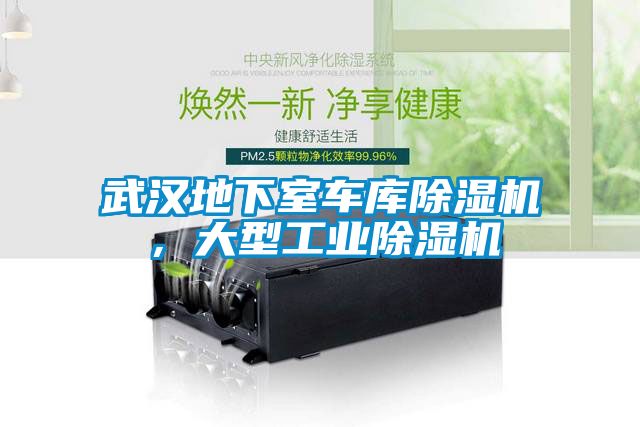 武漢地下室車(chē)庫除濕機，大型工業(yè)除濕機