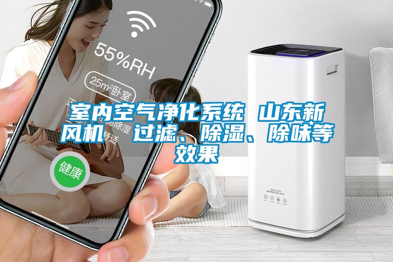 室內空氣凈化系統 山東新風(fēng)機  過(guò)濾、除濕、除味等效果